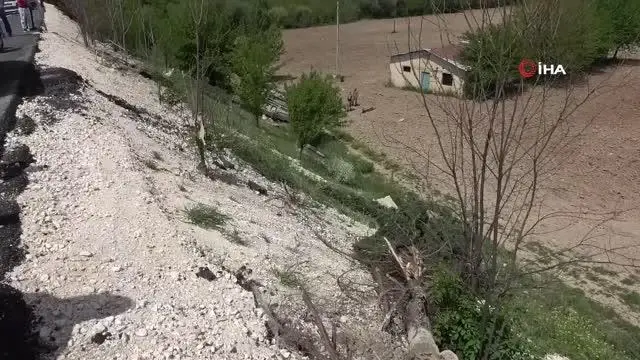 Hayvan yüklü kamyonet şarampole yuvarlandı: 1 ölü, 1 yaralı