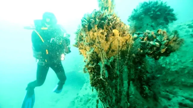 Karadeniz'de heyecanlandıran keşif