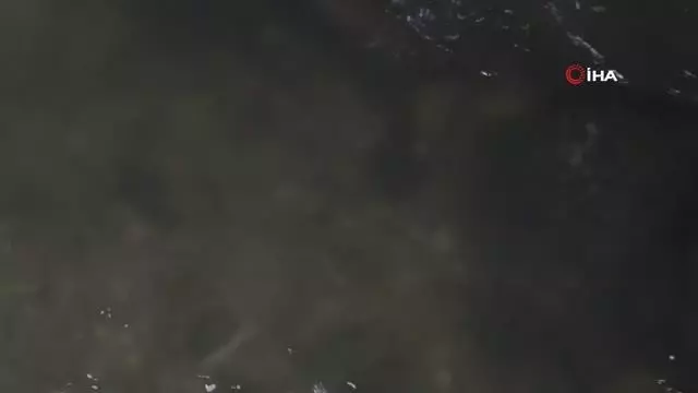 Kaymakam Savar'dan gece vakti inci kefali denetimi