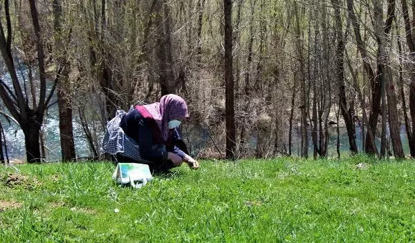 KIZILDAĞ ETEKLERİNDE KADINLARIN 'MADIMAK' MESAİSİ KIZILDAĞ ETEKLERİNDE KADINLARIN 'MADIMAK' MESAİSİ