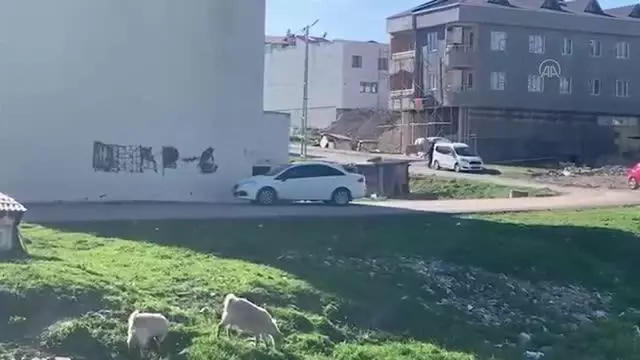 2 operasyonda toplam 109 kilo 360 gram uyuşturucu ele geçirildi (2) 2 operasyonda toplam 109 kilo 360 gram uyuşturucu ele geçirildi (2)