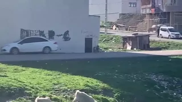 2 operasyonda toplam 109 kilo 360 gram uyuşturucu ele geçirildi (2) 2 operasyonda toplam 109 kilo 360 gram uyuşturucu ele geçirildi (2)