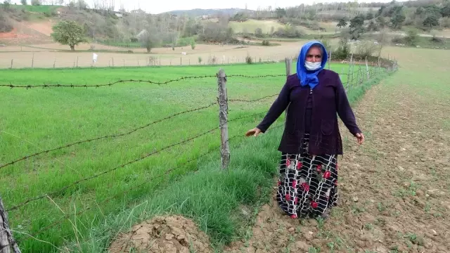 Son dakika haberi | 22 saat sonra bulunan çocuk hastanede müşahedeye alındı Son dakika haberi | 22 saat sonra bulunan çocuk hastanede müşahedeye alındı