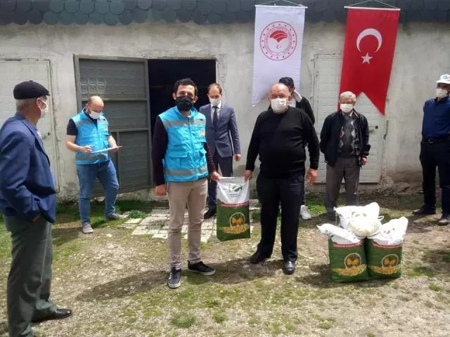 26 üreticiye çerezlik kabak tohumu dağıtıldı 26 üreticiye çerezlik kabak tohumu dağıtıldı