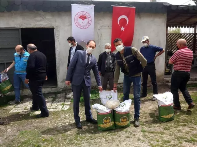 26 üreticiye çerezlik kabak tohumu dağıtıldı 26 üreticiye çerezlik kabak tohumu dağıtıldı