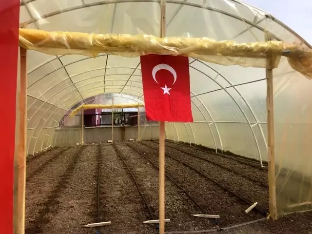 Altıntaş'ta 'Yerli tohum tarım atölyesi' projesi Altıntaş'ta 'Yerli tohum tarım atölyesi' projesi