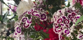 'Anneler Günü'nde kısıtlamadan muaf tutulan çiçekçiler hazırlıklarına başladı