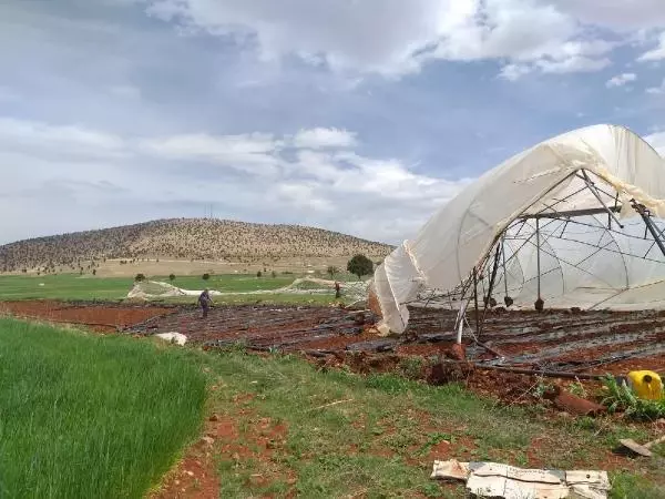 Antalya'da hortum; sera yıkıldı, fideler zarar gördü Antalya'da hortum; sera yıkıldı, fideler zarar gördü