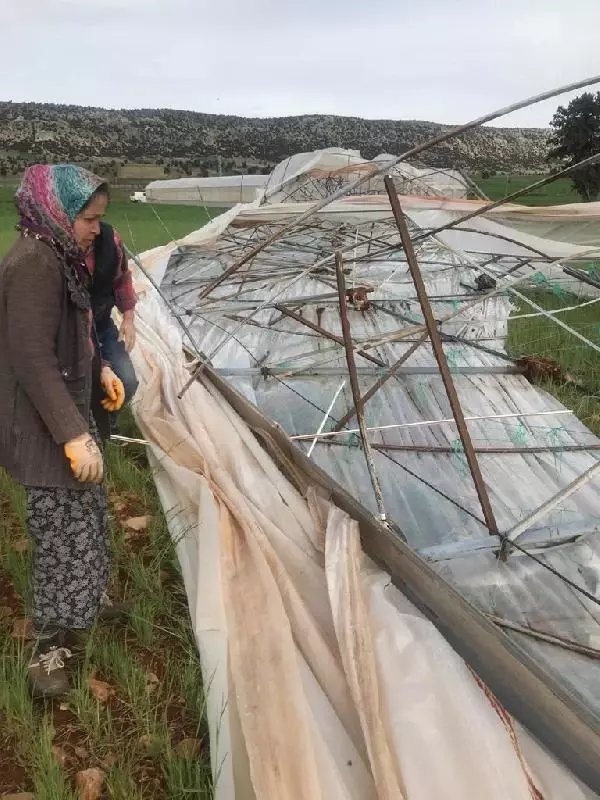 Antalya'da hortum; sera yıkıldı, fideler zarar gördü Antalya'da hortum; sera yıkıldı, fideler zarar gördü