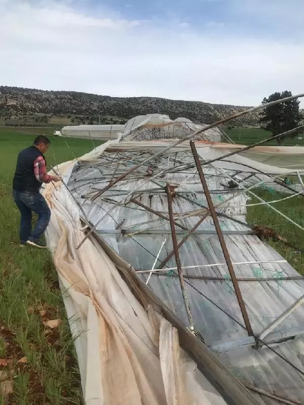 Antalya'da hortum; sera yıkıldı, fideler zarar gördü Antalya'da hortum; sera yıkıldı, fideler zarar gördü