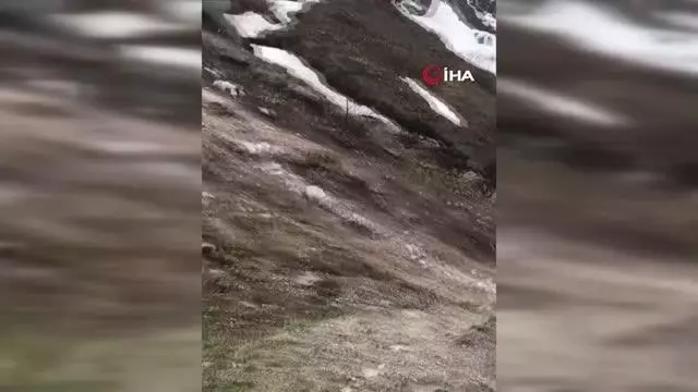 Artvin'de çığ düşmesi sonucu kapanan Camili Bölgesi tekrar ulaşıma açıldı Artvin'de çığ düşmesi sonucu kapanan Camili Bölgesi tekrar ulaşıma açıldı