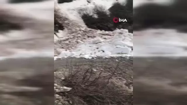Artvin'de çığ düşmesi sonucu kapanan Camili Bölgesi tekrar ulaşıma açıldı Artvin'de çığ düşmesi sonucu kapanan Camili Bölgesi tekrar ulaşıma açıldı