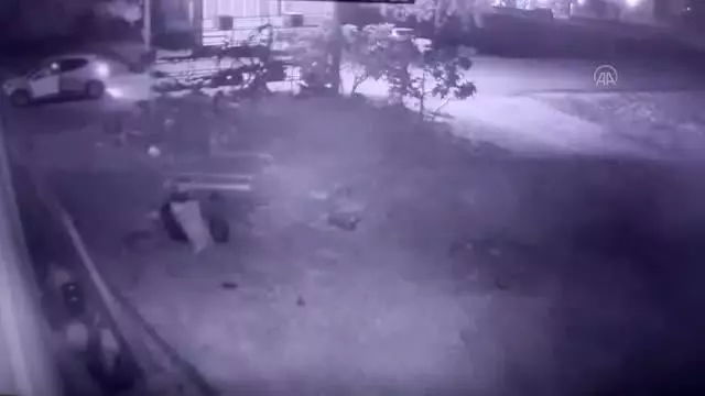 Bir köpeğe silahla ateş edilmesi güvenlik kamerasına yansıdı Bir köpeğe silahla ateş edilmesi güvenlik kamerasına yansıdı