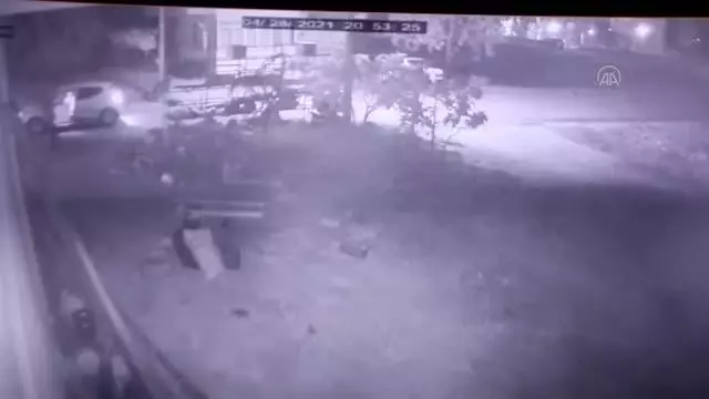 Bir köpeğe silahla ateş edilmesi güvenlik kamerasına yansıdı Bir köpeğe silahla ateş edilmesi güvenlik kamerasına yansıdı