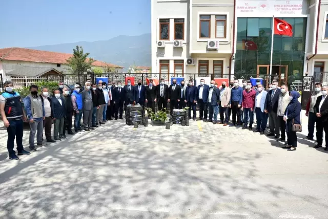 Büyükşehir'den çiftçiye fidan desteği Büyükşehir'den çiftçiye fidan desteği