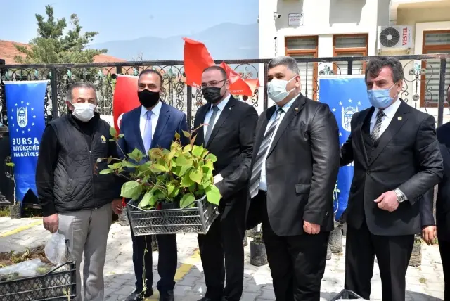 Büyükşehir'den çiftçiye fidan desteği Büyükşehir'den çiftçiye fidan desteği