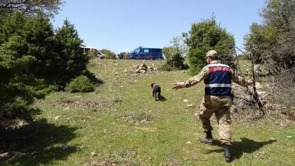 ÇANAKKALE'DE KAYBOLAN ENGELLİ KADINI ARAMA ÇALIŞMALARI SÜRÜYOR ÇANAKKALE'DE KAYBOLAN ENGELLİ KADINI ARAMA ÇALIŞMALARI SÜRÜYOR