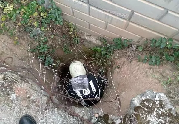 Çukura düşen kaplumbağa ve yavrusunu itfaiye kurtardı Çukura düşen kaplumbağa ve yavrusunu itfaiye kurtardı