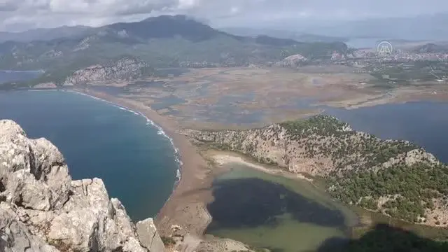 Dünyaca ünlü İztuzu sahilinin konukları caretta carettalar, yumurta bırakmaya başladı Dünyaca ünlü İztuzu sahilinin konukları caretta carettalar, yumurta bırakmaya başladı
