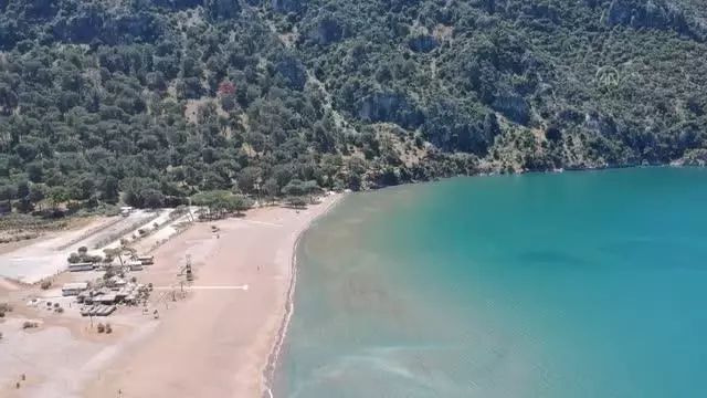 Dünyaca ünlü İztuzu sahilinin konukları caretta carettalar, yumurta bırakmaya başladı Dünyaca ünlü İztuzu sahilinin konukları caretta carettalar, yumurta bırakmaya başladı