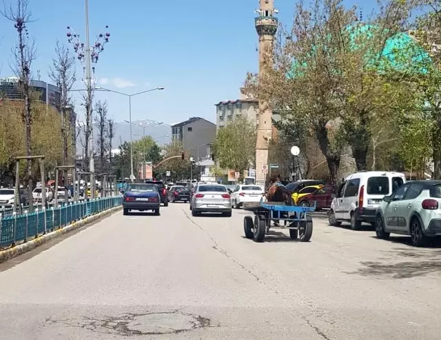 Erzurum'da dörtnala koşan at, trafiği birbirine kattı Erzurum'da dörtnala koşan at, trafiği birbirine kattı