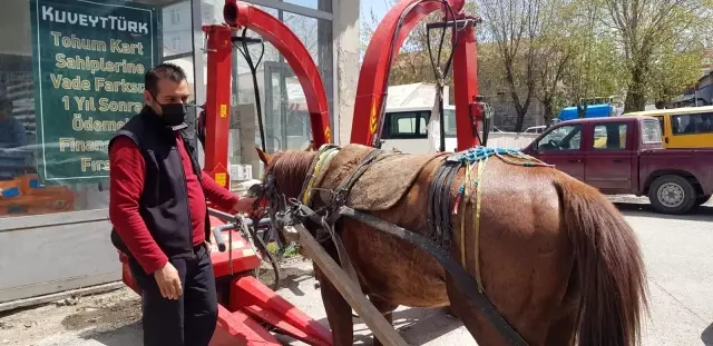Erzurum'da dörtnala koşan at, trafiği birbirine kattı Erzurum'da dörtnala koşan at, trafiği birbirine kattı