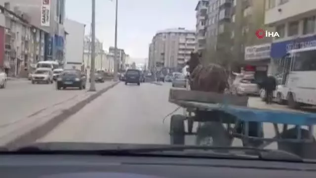 Erzurum'da dörtnala koşan at, trafiği birbirine kattı Erzurum'da dörtnala koşan at, trafiği birbirine kattı