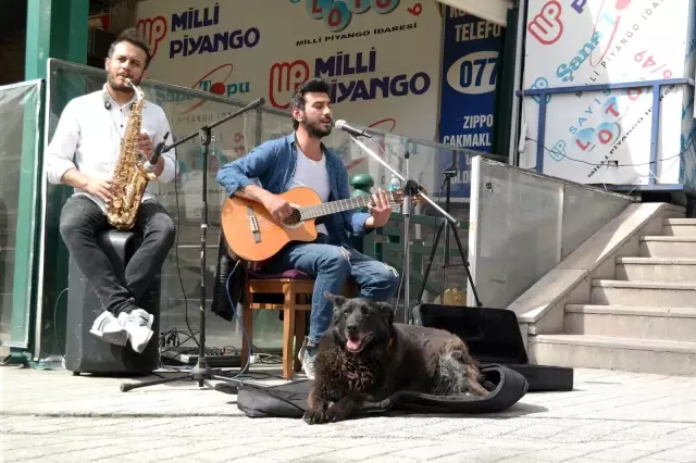 Eskişehir'de renkli bahar manzaraları Eskişehir'de renkli bahar manzaraları