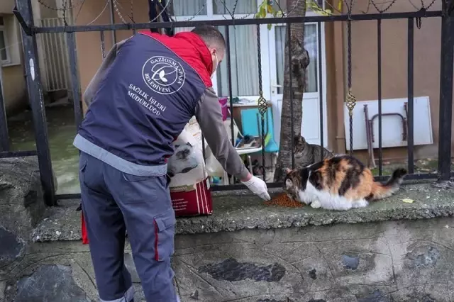 Gaziosmanpaşa'da tam kapanmada temizlik, dezenfekte ve çevre düzenlemeleri kesintisiz sürecek Gaziosmanpaşa'da tam kapanmada temizlik, dezenfekte ve çevre düzenlemeleri kesintisiz sürecek