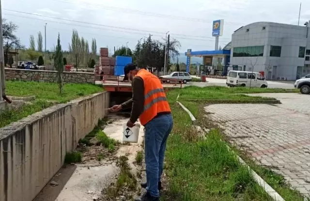 Gediz'de larva ilaçlama çalışmaları başlatıldı Gediz'de larva ilaçlama çalışmaları başlatıldı