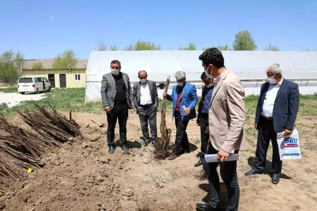 Gürpınar'da ücretsiz fidan dağıtımı Gürpınar'da ücretsiz fidan dağıtımı