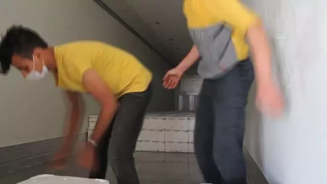 Hatay ve Afrin'deki ihtiyaç sahibi 5 bin aileye 6 ton alabalık dağıtıldı Hatay ve Afrin'deki ihtiyaç sahibi 5 bin aileye 6 ton alabalık dağıtıldı