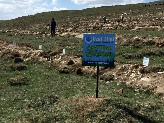 Hayırseverler adına fidan dikimi etkinliği yaptılar Hayırseverler adına fidan dikimi etkinliği yaptılar