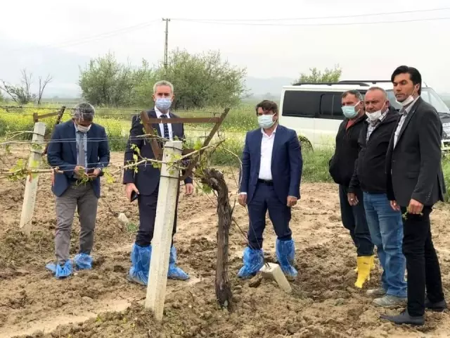 Honaz ve Serinhisar'da ön hasar tespit çalışmaları tamamlandı Honaz ve Serinhisar'da ön hasar tespit çalışmaları tamamlandı