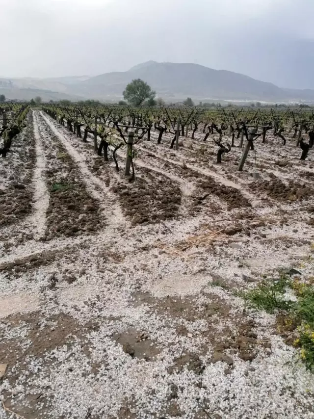 Honaz ve Serinhisar'da ön hasar tespit çalışmaları tamamlandı Honaz ve Serinhisar'da ön hasar tespit çalışmaları tamamlandı