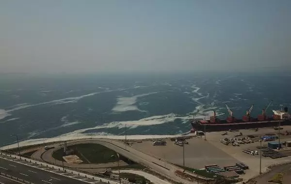 İZMİT KÖRFEZİ'NDE DENİZ SALYASI YENİDEN ORTAYA ÇIKTI İZMİT KÖRFEZİ'NDE DENİZ SALYASI YENİDEN ORTAYA ÇIKTI