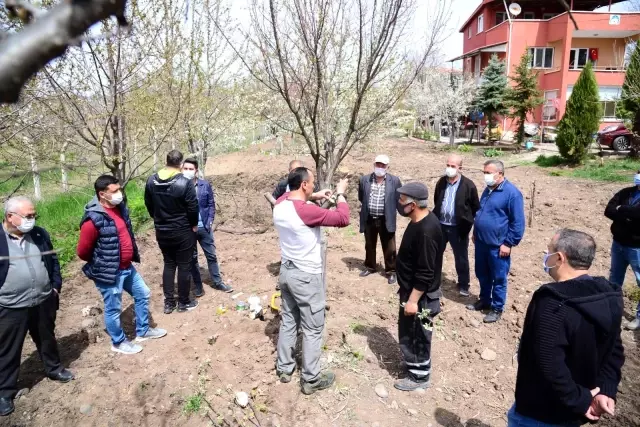 Son Dakika | Kahramankazanlı çiftçilere budama ve aşılama eğitimi Son Dakika | Kahramankazanlı çiftçilere budama ve aşılama eğitimi