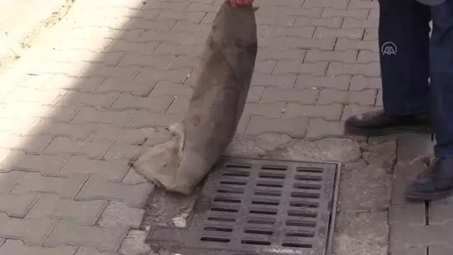 Kanalizasyondan gelen koku nedeniyle mazgalların üzerine halı ve kilim örttüler Kanalizasyondan gelen koku nedeniyle mazgalların üzerine halı ve kilim örttüler