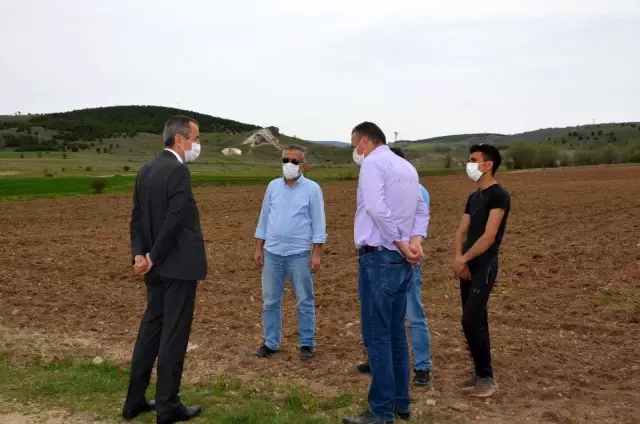 Atıl durumdaki 350 dekar tarım arazisine ayçiçeği ekildi Atıl durumdaki 350 dekar tarım arazisine ayçiçeği ekildi