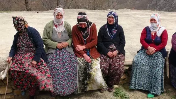 KAYIP 2 YAŞINDAKİ SÜLEYMAN'IN ANNESİNDEN 'YIRTICI HAYVAN' AÇIKLAMASI KAYIP 2 YAŞINDAKİ SÜLEYMAN'IN ANNESİNDEN 'YIRTICI HAYVAN' AÇIKLAMASI