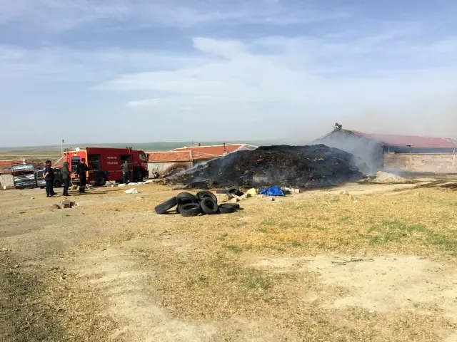 Konya'da 3 bin 500 balya saman yandı Konya'da 3 bin 500 balya saman yandı