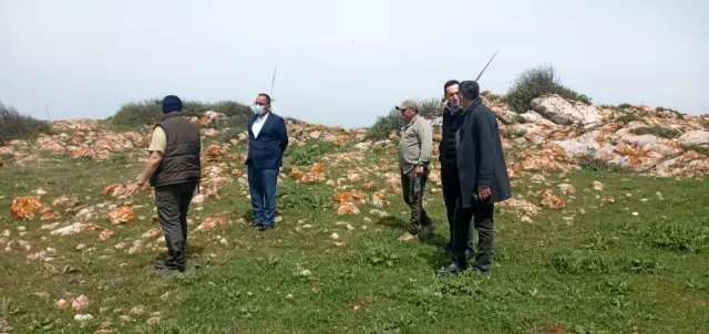 Kurtuluş Savaşı'nın Son Mehmetlerinin izi bulundu Kurtuluş Savaşı'nın Son Mehmetlerinin izi bulundu