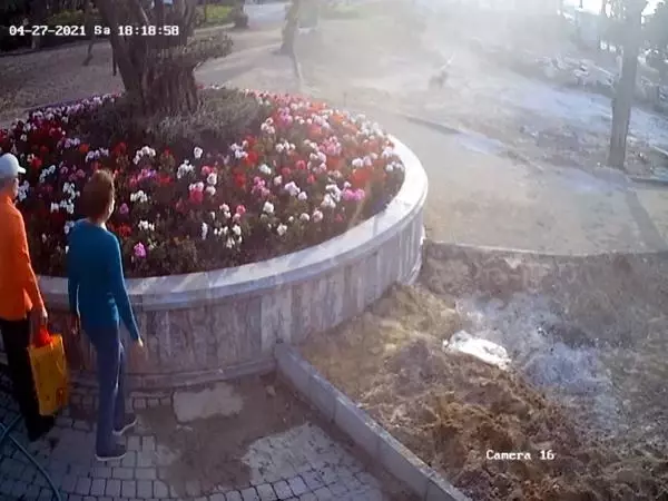 KUŞADASI'NDA PARKA DİKİLEN ÇİÇEKLER ÇALINDI KUŞADASI'NDA PARKA DİKİLEN ÇİÇEKLER ÇALINDI