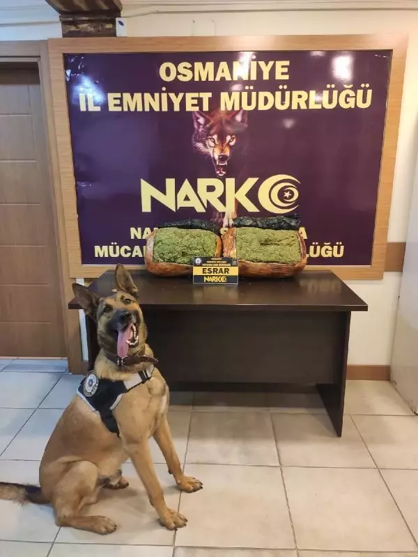 Uyuşturucu operasyonunda 10 kilo 200 gram esrar ele geçirildi Uyuşturucu operasyonunda 10 kilo 200 gram esrar ele geçirildi