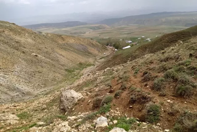 Pancar toplamak isterken kayalıklardan düştü Pancar toplamak isterken kayalıklardan düştü