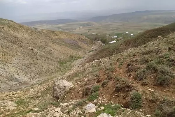 Pancar toplarken kayalıklardan düşüp, yaralandı Pancar toplarken kayalıklardan düşüp, yaralandı