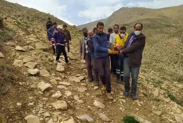 Pancar toplarken kayalıklardan düşüp, yaralandı Pancar toplarken kayalıklardan düşüp, yaralandı