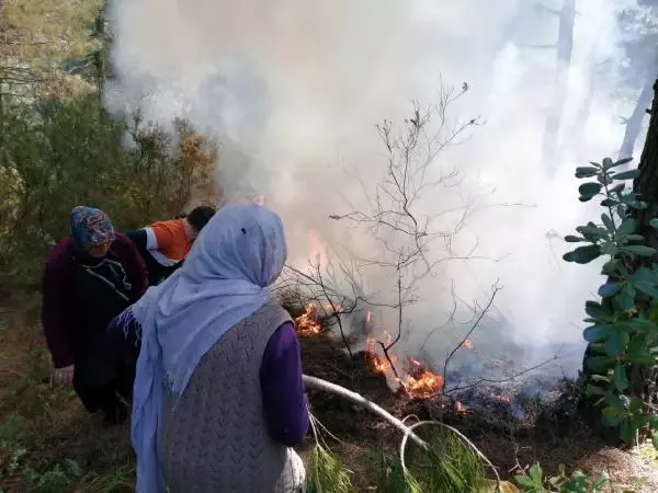 Pendik'te mahalleli ve polis ormanda çıkan yangını söndürdü Pendik'te mahalleli ve polis ormanda çıkan yangını söndürdü