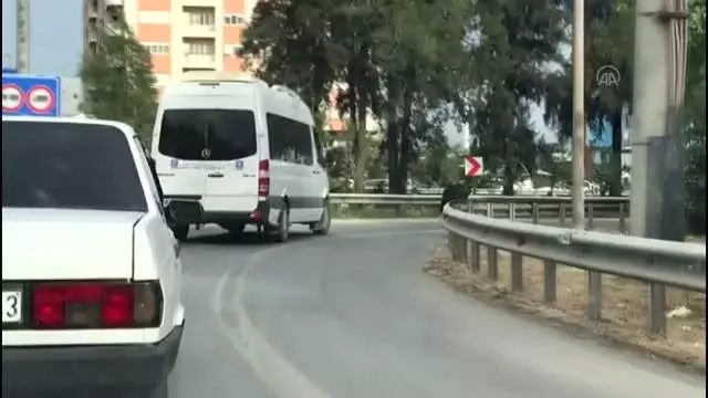 Sahibinin elinden kaçan buzağı trafikte tehlike oluşturdu Sahibinin elinden kaçan buzağı trafikte tehlike oluşturdu