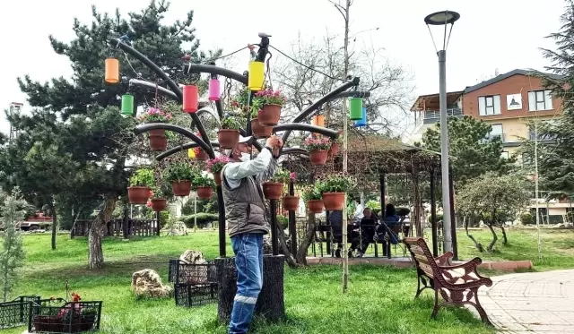 Saksıda çiçeklerle rengarenk Keçiören Saksıda çiçeklerle rengarenk Keçiören